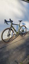 Rose BACKROAD AL GRX 810 L-56 cm