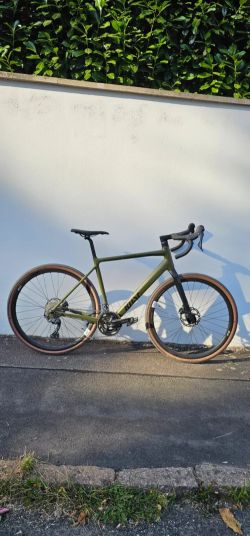 Rose BACKROAD AL GRX 810 L-56 cm