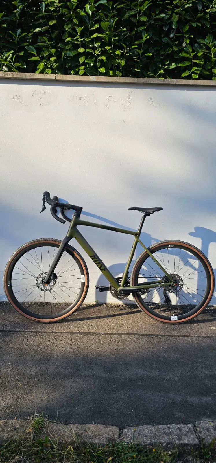Rose BACKROAD AL GRX 810 L-56 cm