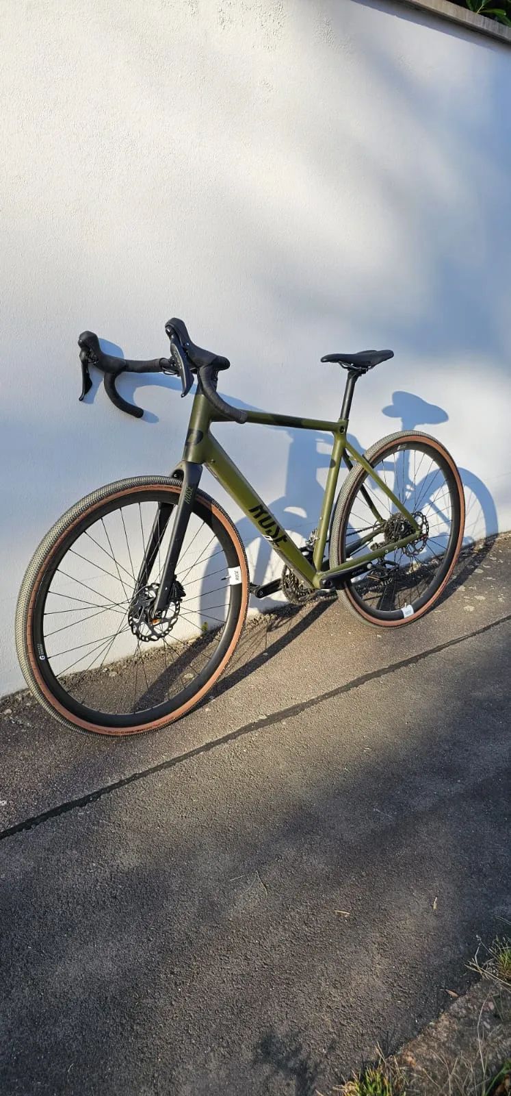 Rose BACKROAD AL GRX 810 L-56 cm