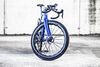 Pinarello Dogma F Glory Blue, Shimano Dura-Ace Di2, Drive Helix