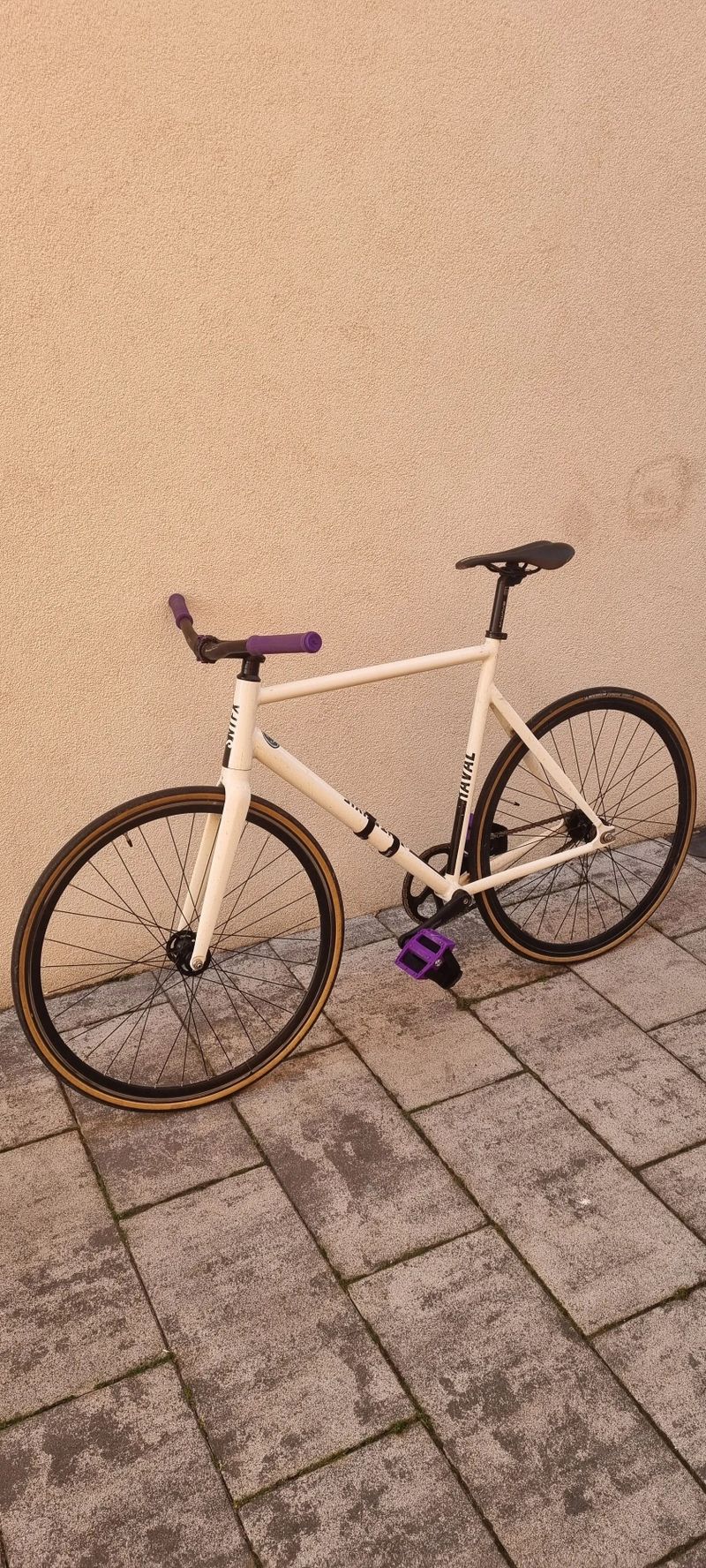 Fixka (singlespeed) na prodej