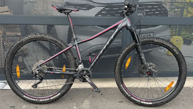 Scott Contessa Scale 10