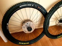 Nové Maxxis Minion DHF + DHR II WT 3C MaxxTerra TR 29"