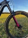 Trek Fuel EXe 2024