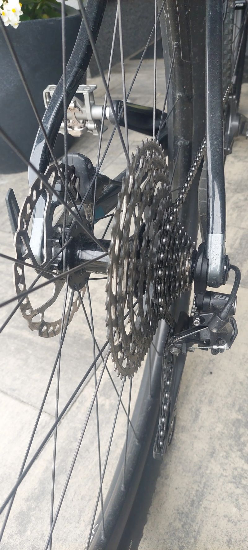 Trek Procaliber 9.5