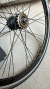 Single-speed kola