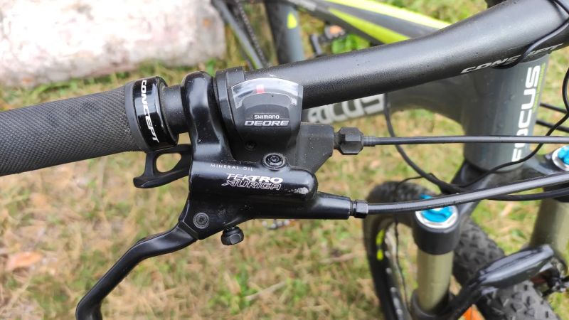 Focus Black forest