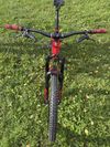 Trek Remedy 9