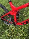 Trek Remedy 9