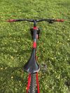 Trek Remedy 9