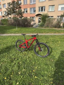 Trek Remedy 9