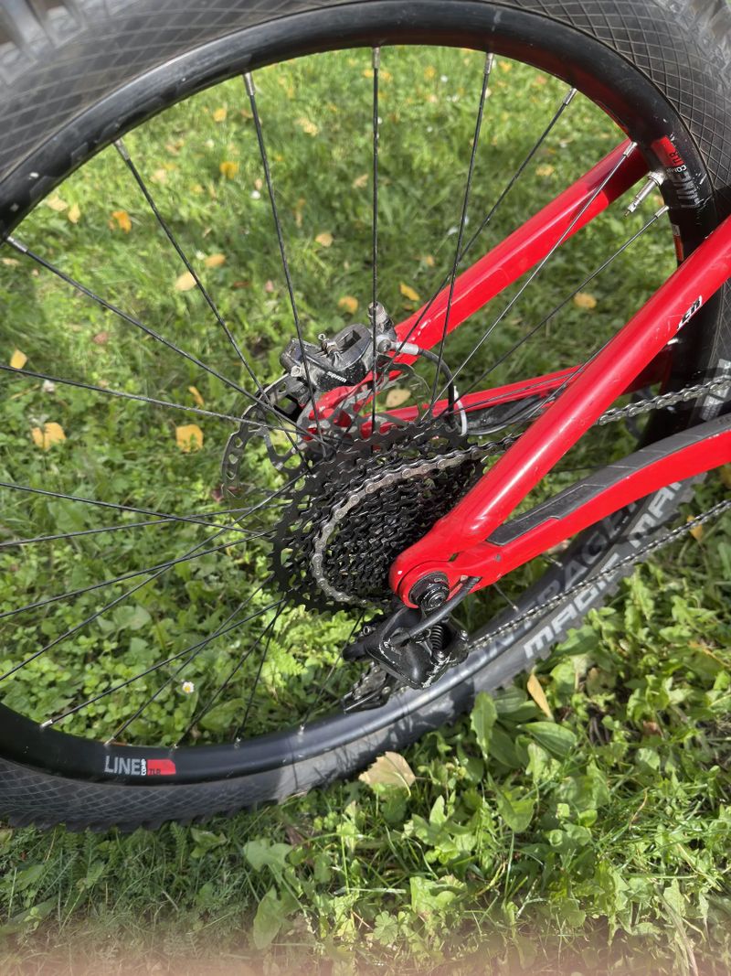 Trek Remedy 9