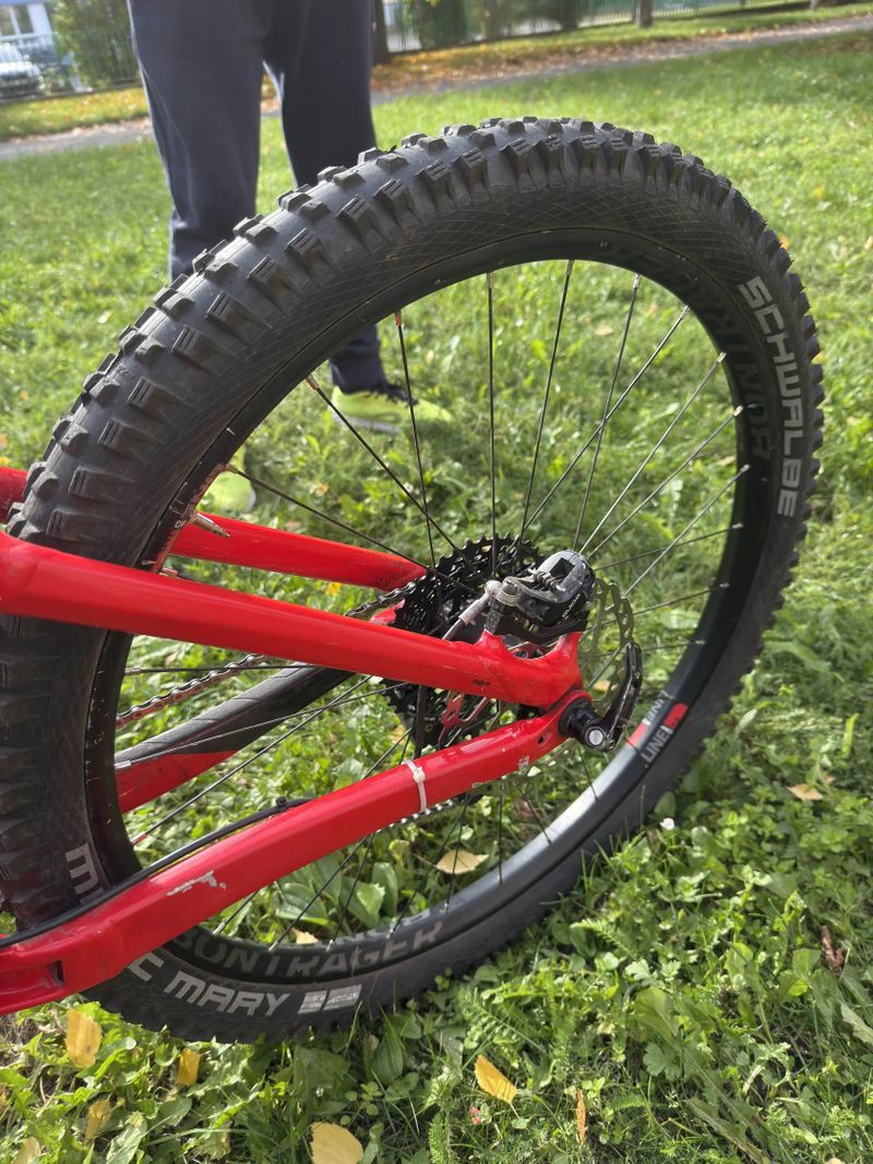 Trek Remedy 9