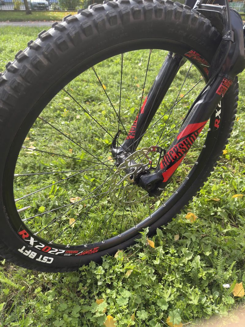 Trek Remedy 9