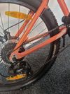 Scott Contessa 24