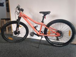 Scott Contessa 24