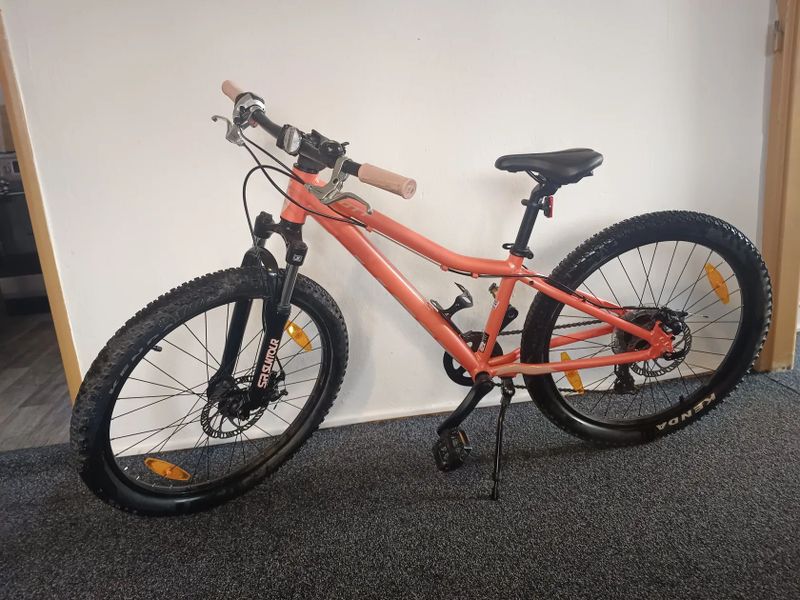 Scott Contessa 24