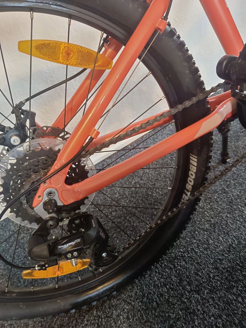 Scott Contessa 24