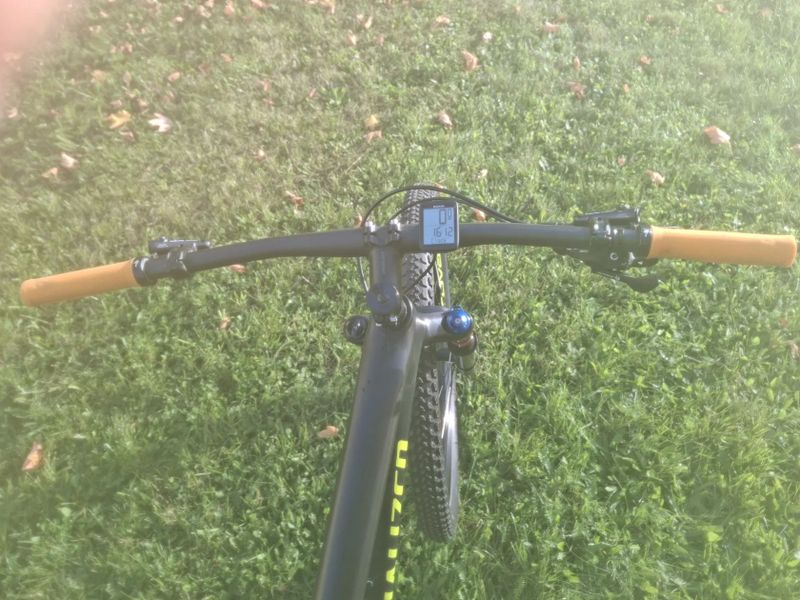 Specialized HT Comp Carbon 29" 2020