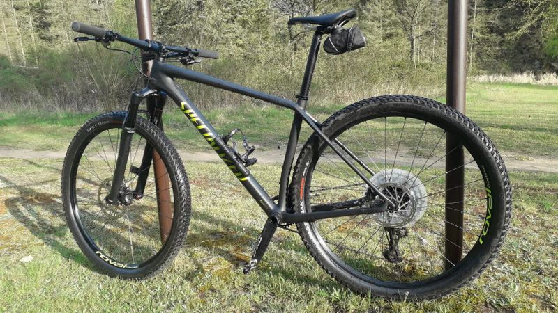 Specialized HT Comp Carbon 29" 2020