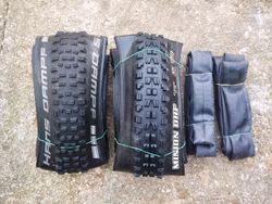 Schwalbe Hans Dampf+ Maxxis Minion DHF 