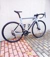 Bianchi Aria