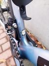 Bianchi Aria