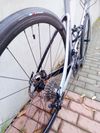 Bianchi Aria