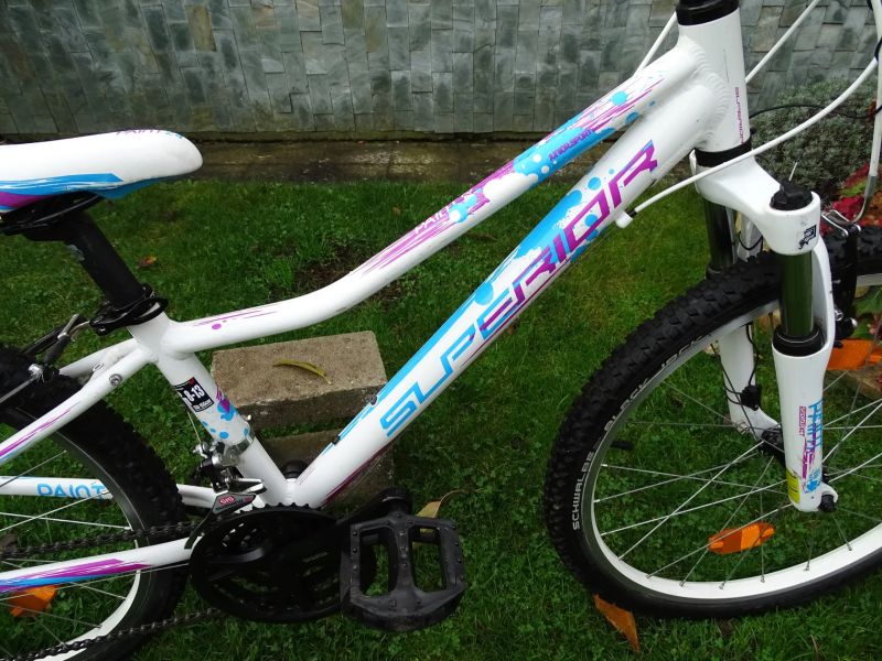 Superior Paint 24"