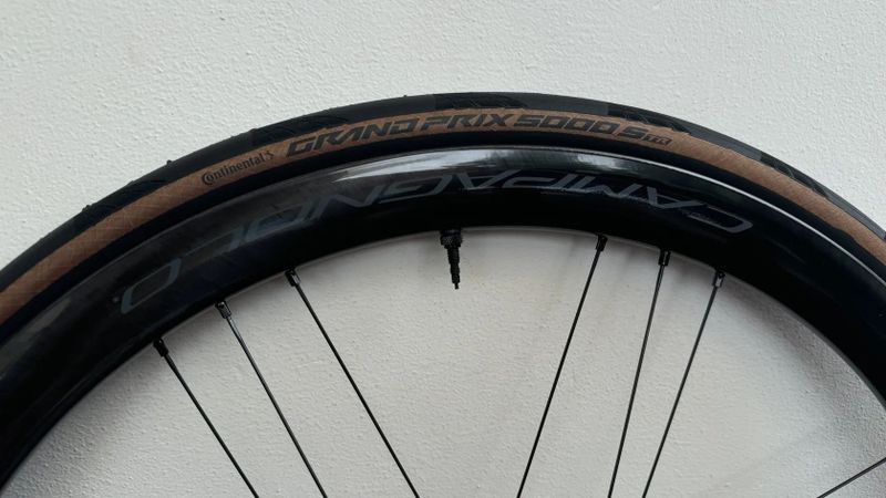 Campagnolo Shamal C21 DB - XDrkový ořech