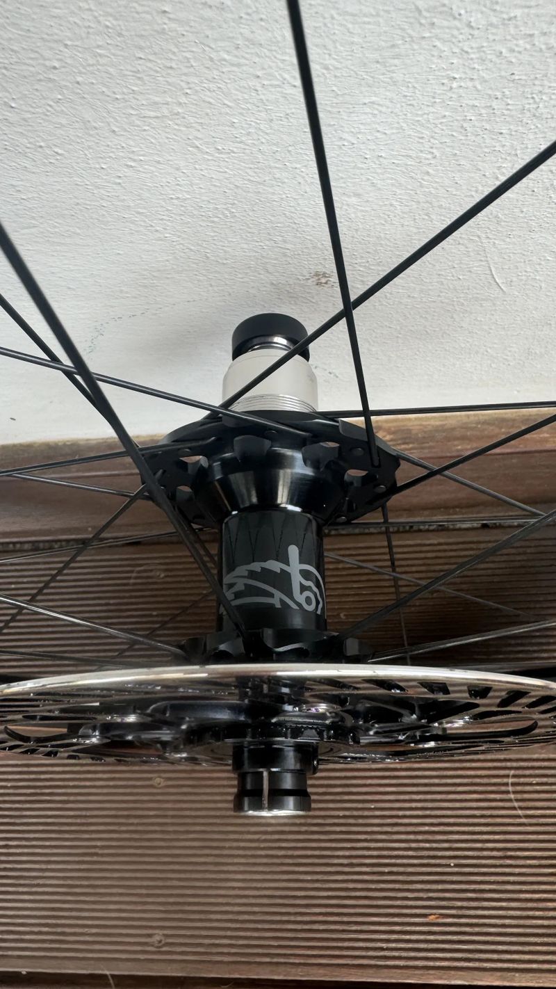Campagnolo Shamal C21 DB - XDrkový ořech