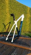 Custom paint Carbon Lexon 29 vel. L