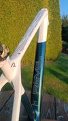 Custom paint Carbon Lexon 29 vel. L