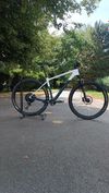 Custom paint Carbon Lexon 29 vel. L