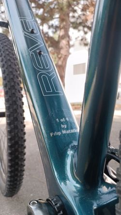 Custom paint Carbon Lexon 29 vel. L