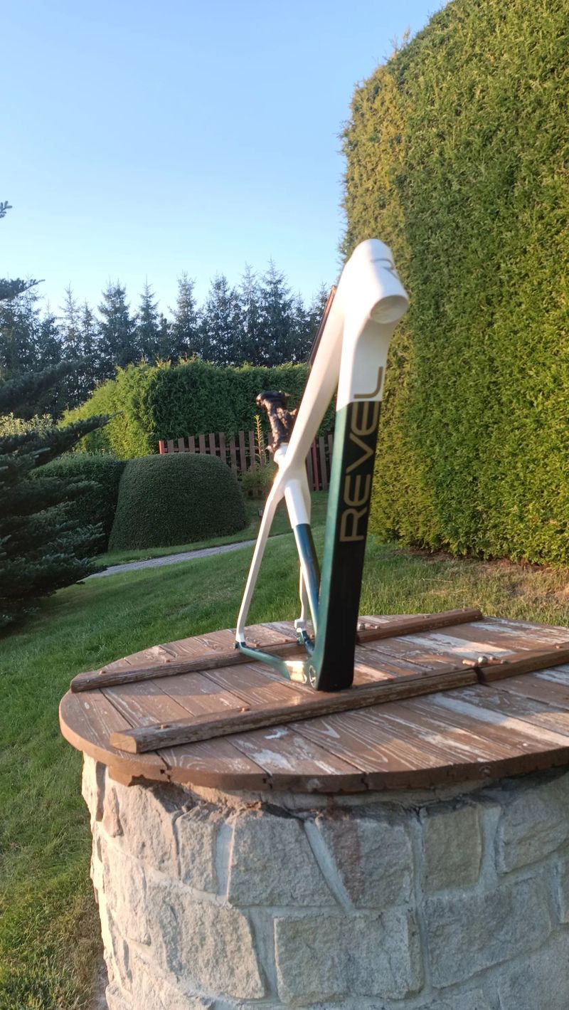 Custom paint Carbon Lexon 29 vel. L