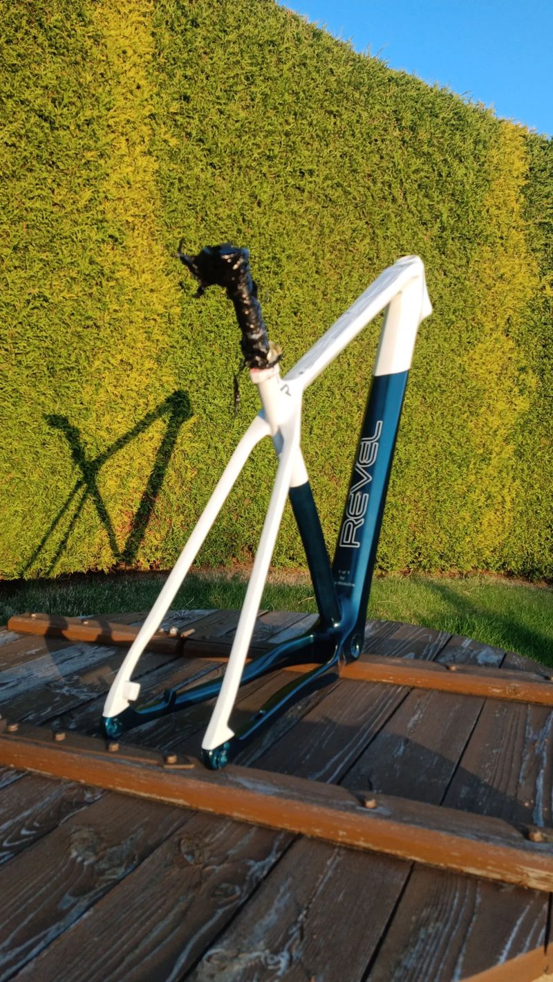 Custom paint Carbon Lexon 29 vel. L