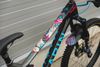 Marin Marin Alpine Trail Carbon 1
