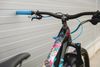 Marin Marin Alpine Trail Carbon 1