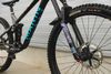 Marin Marin Alpine Trail Carbon 1