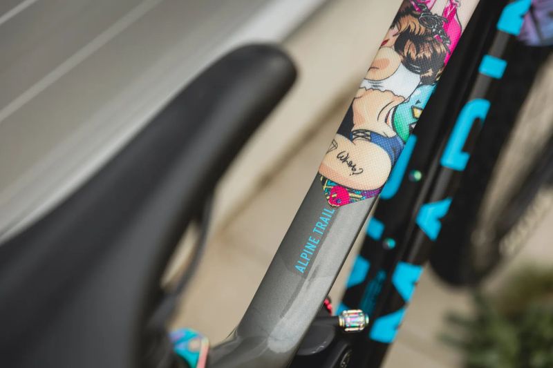 Marin Marin Alpine Trail Carbon 1