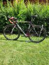 De Rosa