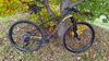 Canyon Exceed CF SL