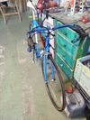 Colnago