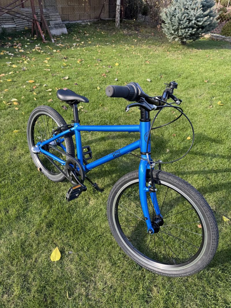 Bungi Bungi 20