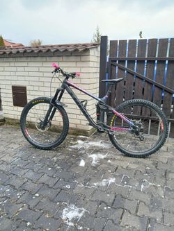 Trek Remedy 8