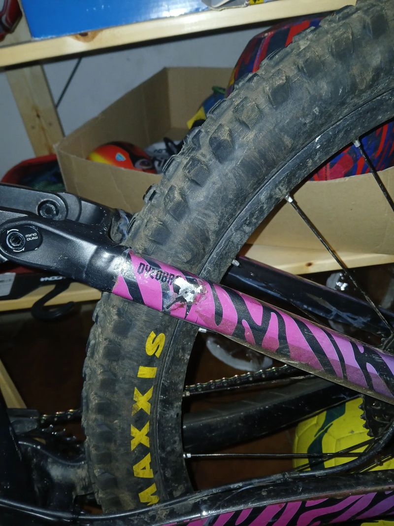 Trek Remedy 8