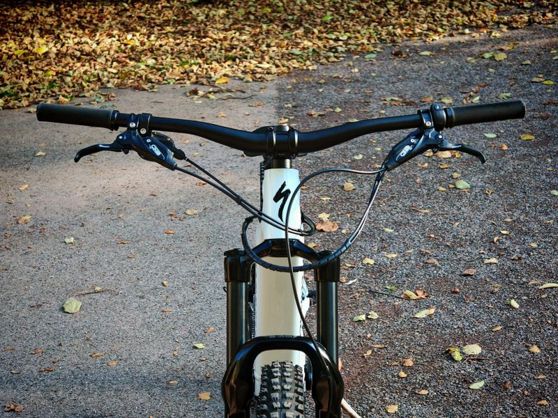 Specialized Turbo Levo