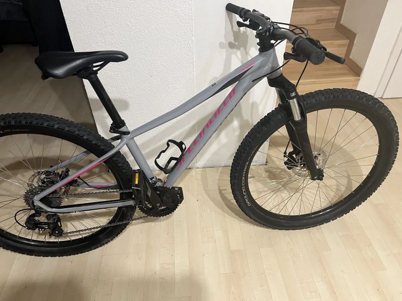 Specialized Pitch